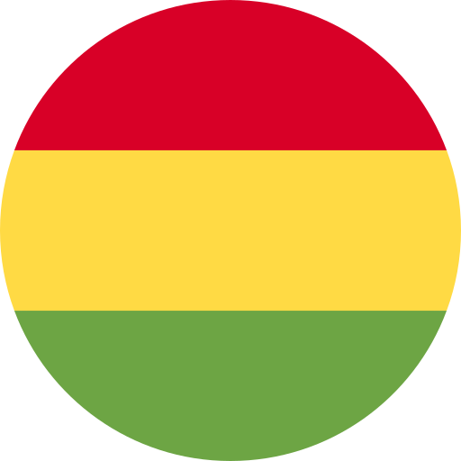 Bolivia flag icon